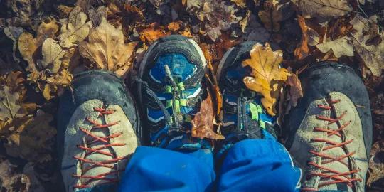 Seasons
