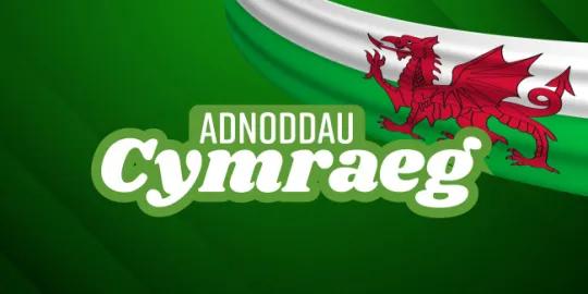 Adnoddau Cymraeg