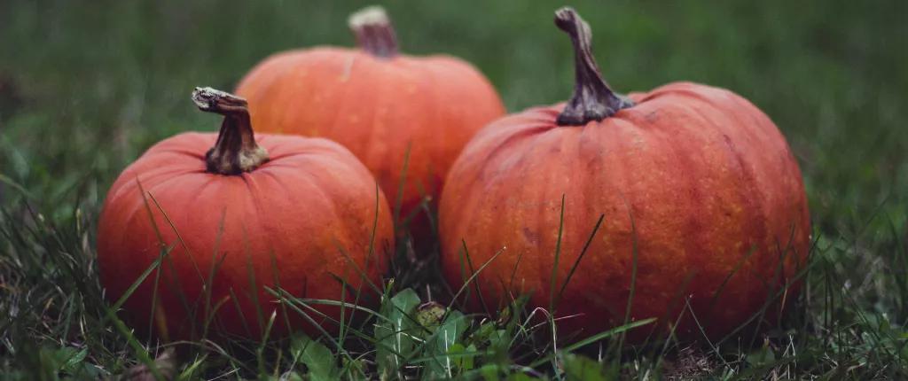 Pumpkins