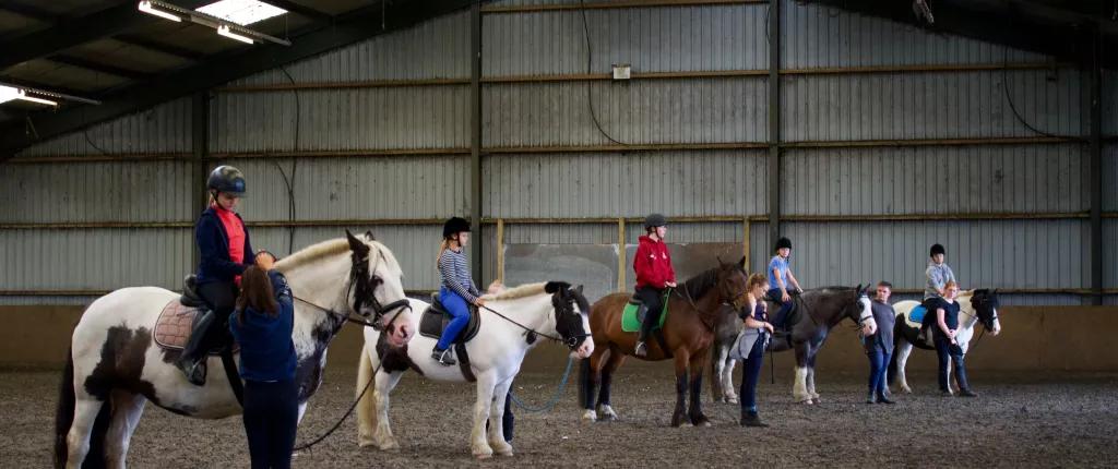 horses