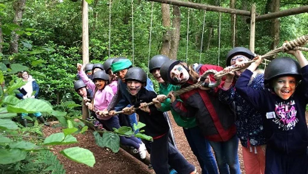 Go Wild SU Holiday Activity