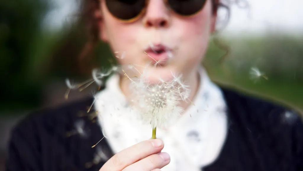 Dandelion clock