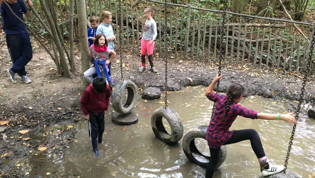 The Walk Low Ropes
