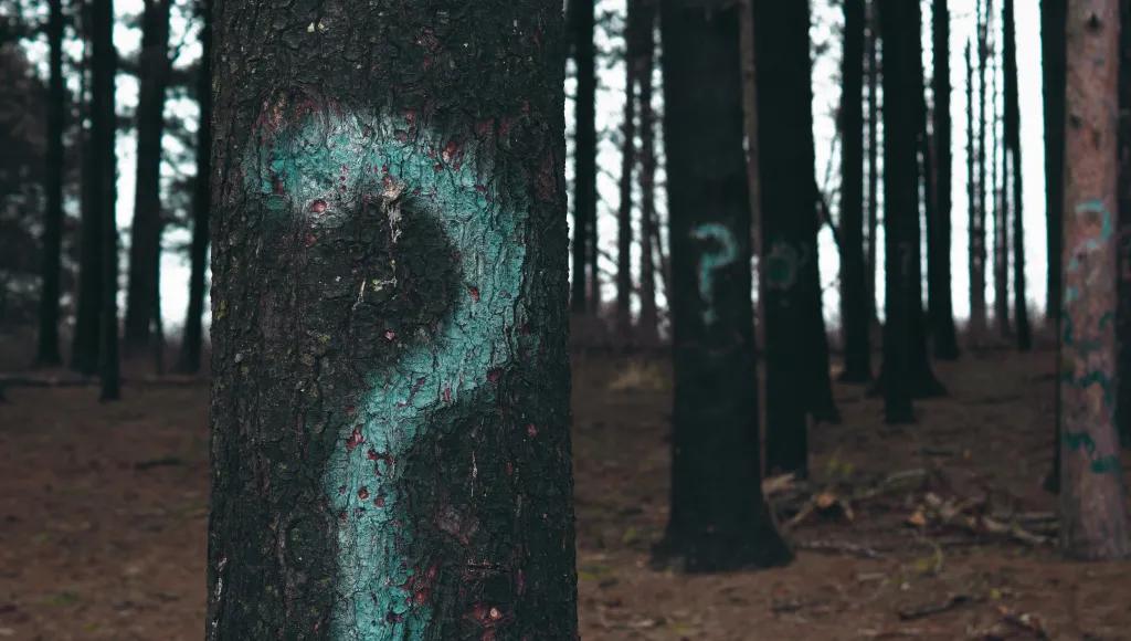 question_mark_tree