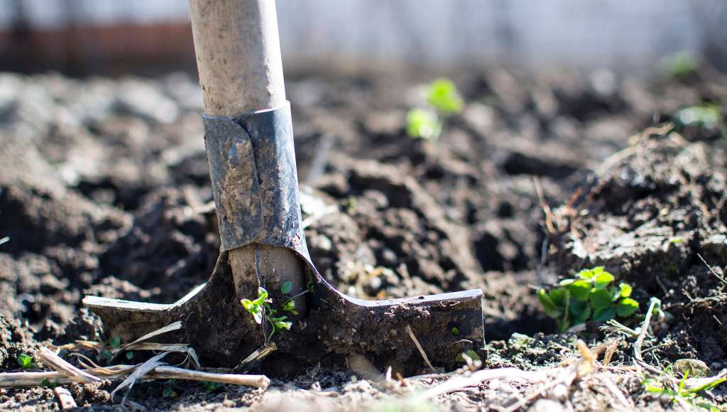 garden_spade garden_spade