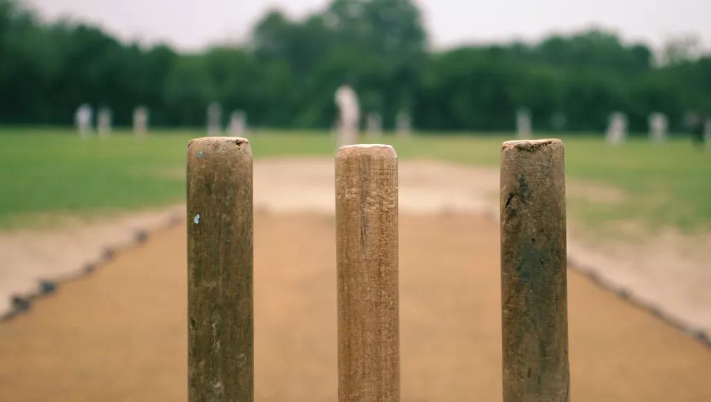 cricket_stumps_on_grass