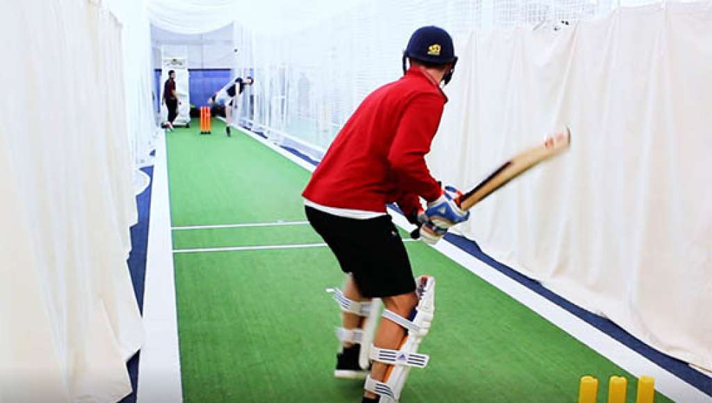 Sticks for Stumps Paddy
