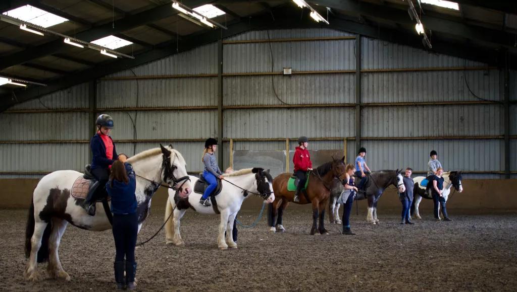 horses