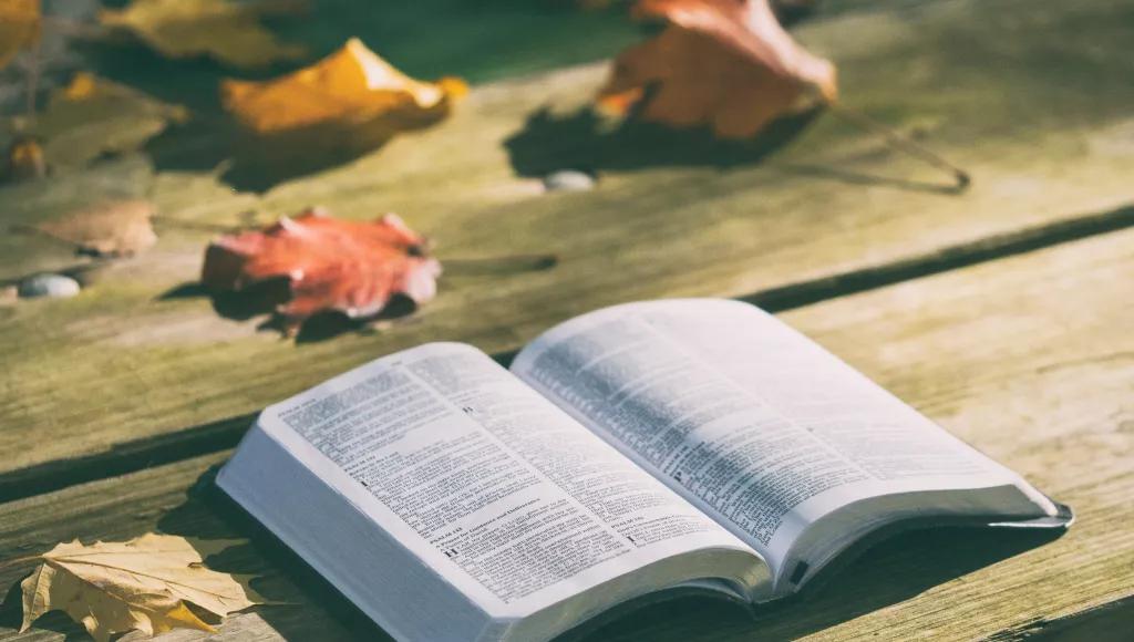 Open Bible