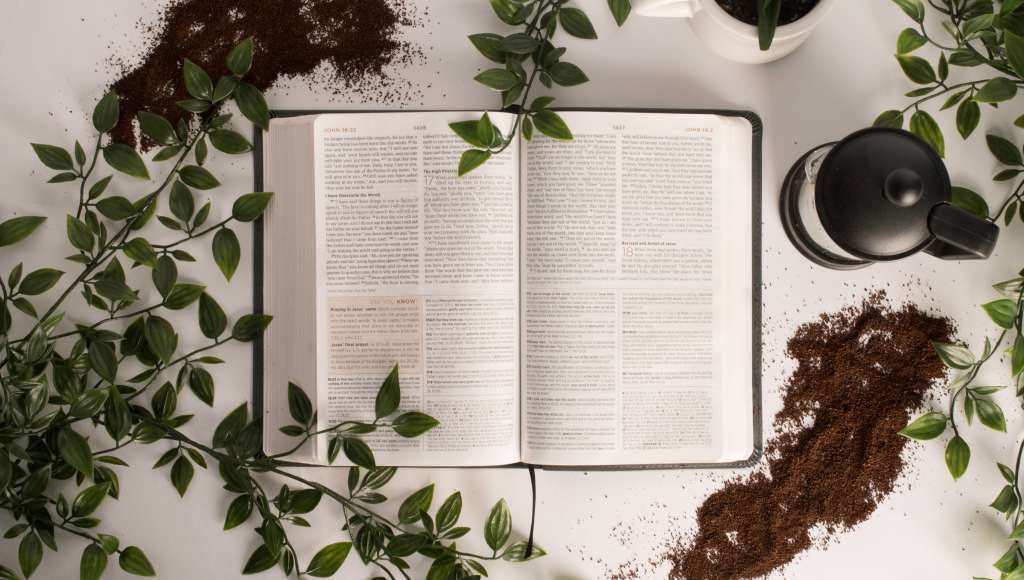 Bible with herbs