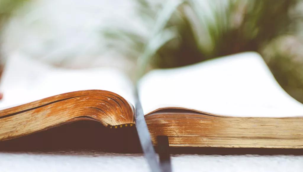 Open Bible
