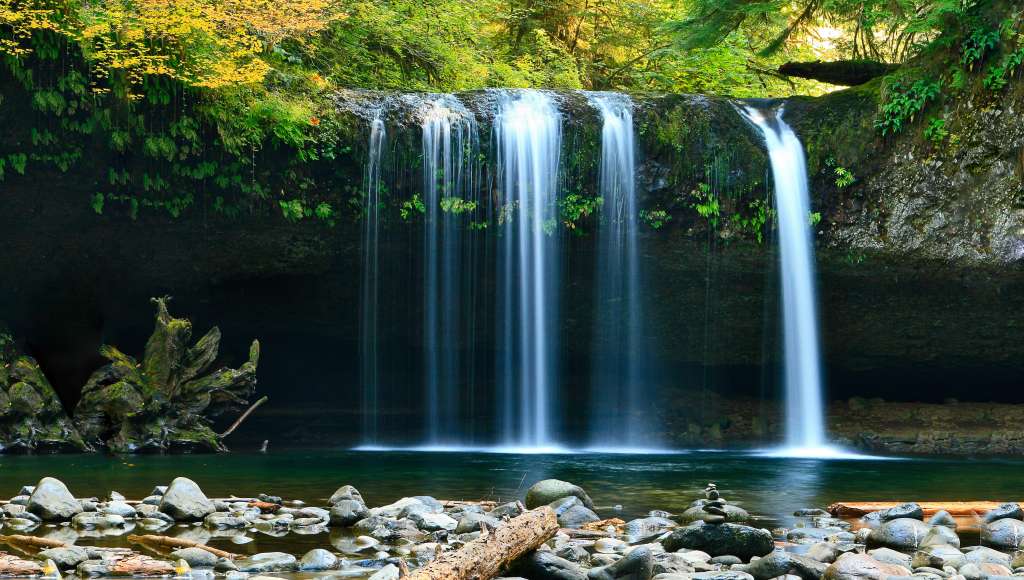 Woodland waterfall