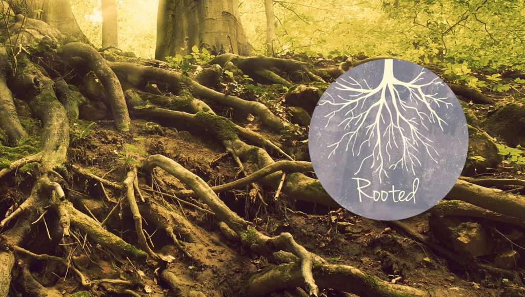 Rooted: a new model for youth work to help young people thrive
