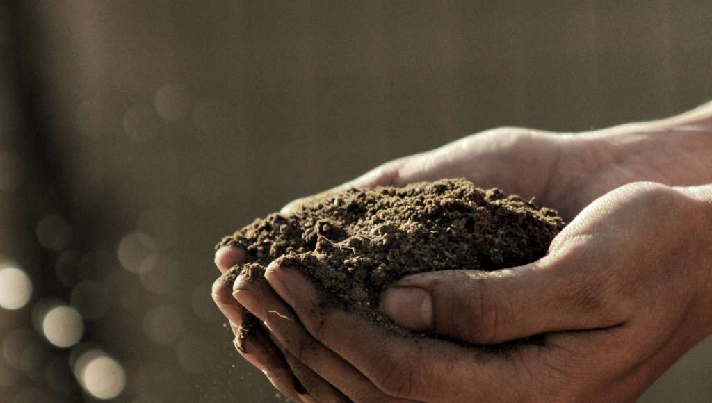 Soil in hands