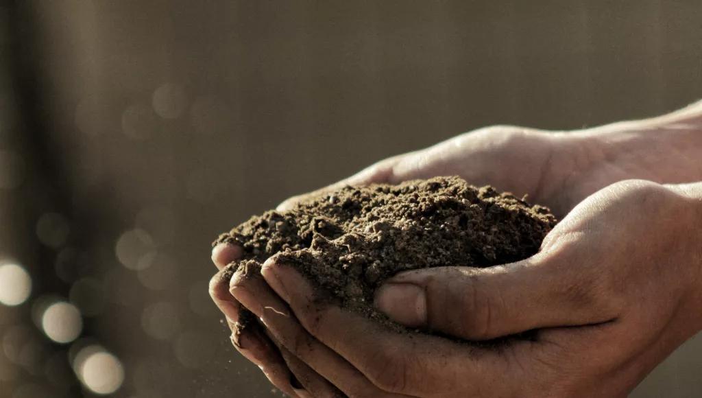Soil in hands