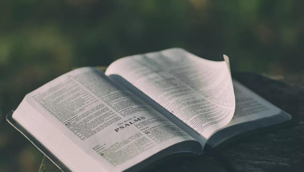 Bible Psalms