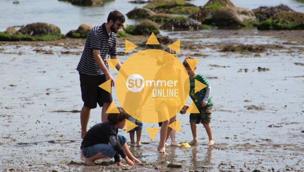 Criccieth - family on the beach