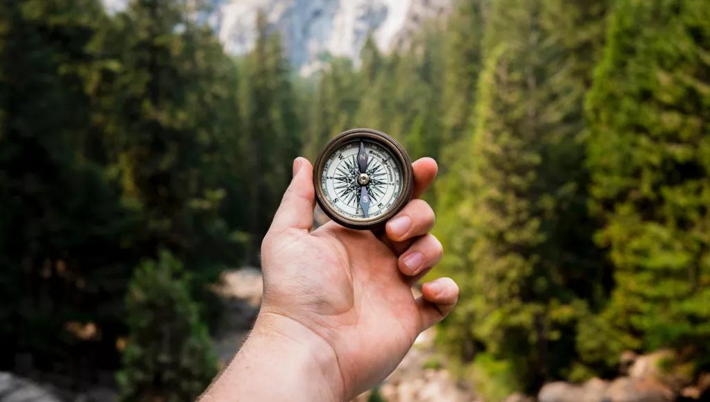 Go-Wild-Compass