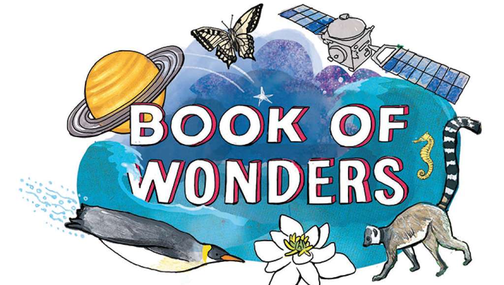 Book of Wonders logo