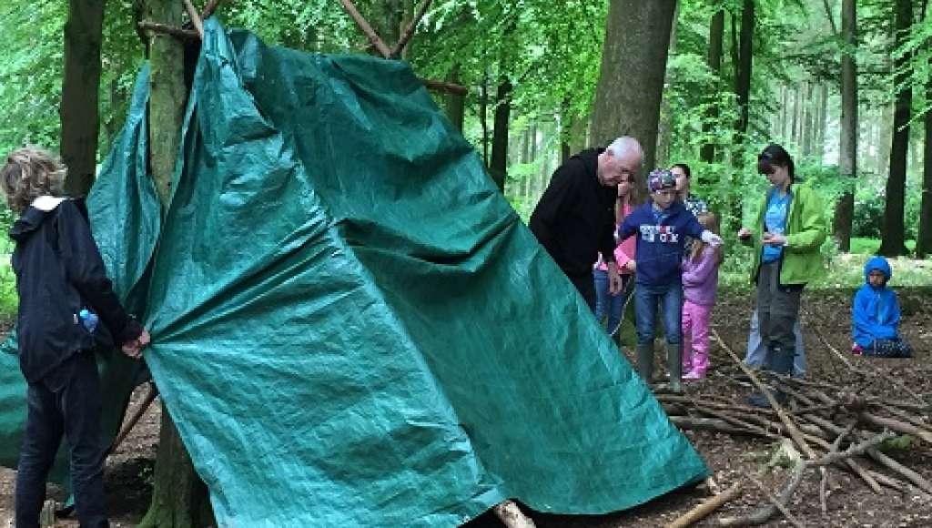 Making progress building a shelter Building a shelter