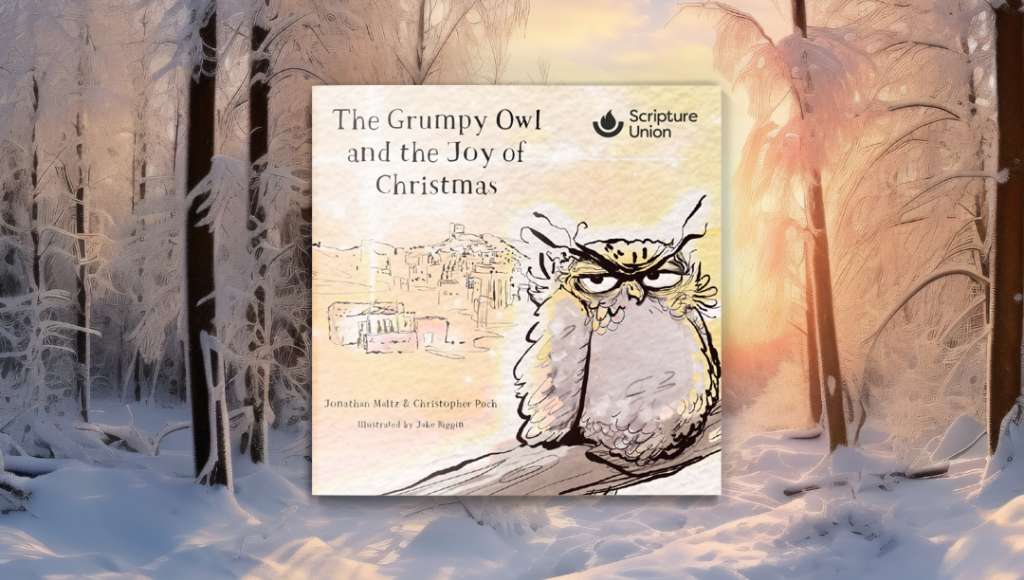 Grumpy Owl Winter Scene