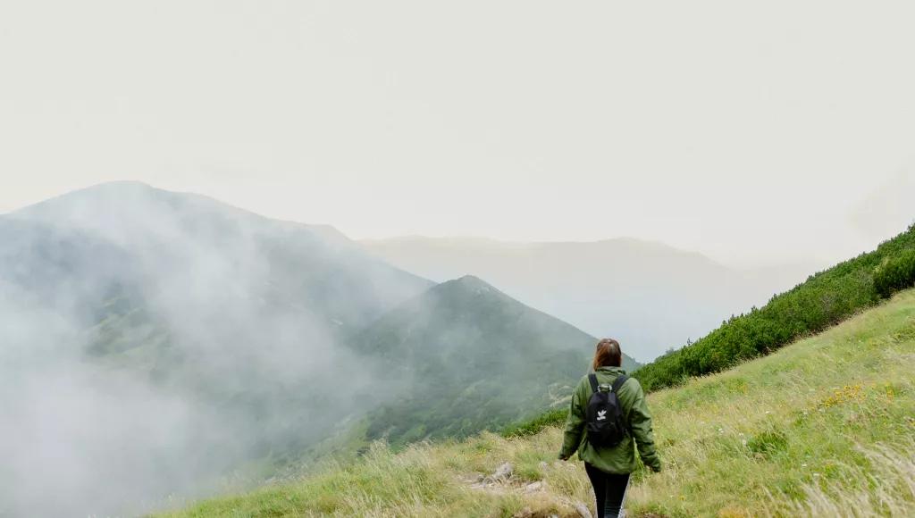 WL