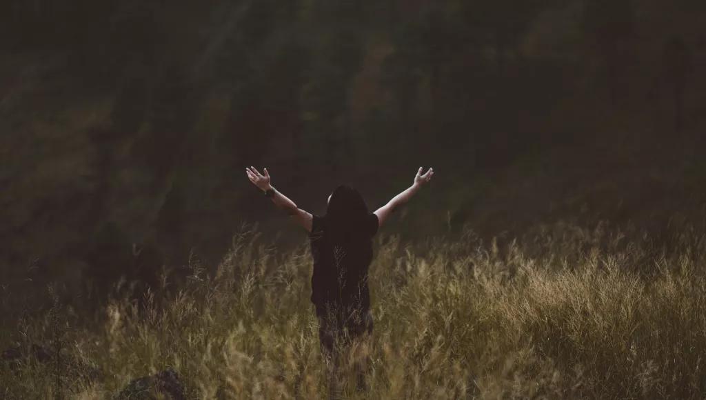 wl