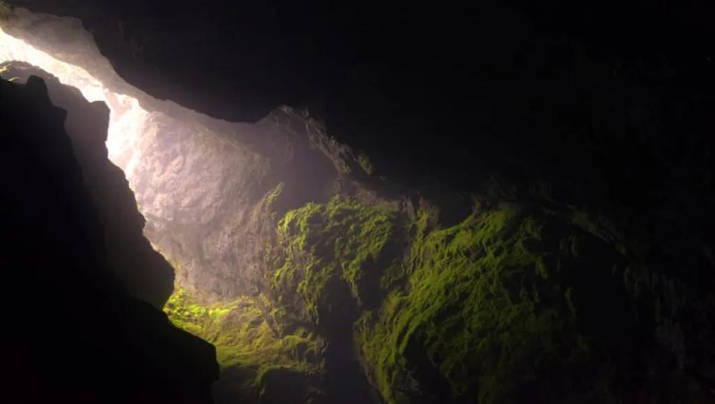 wl