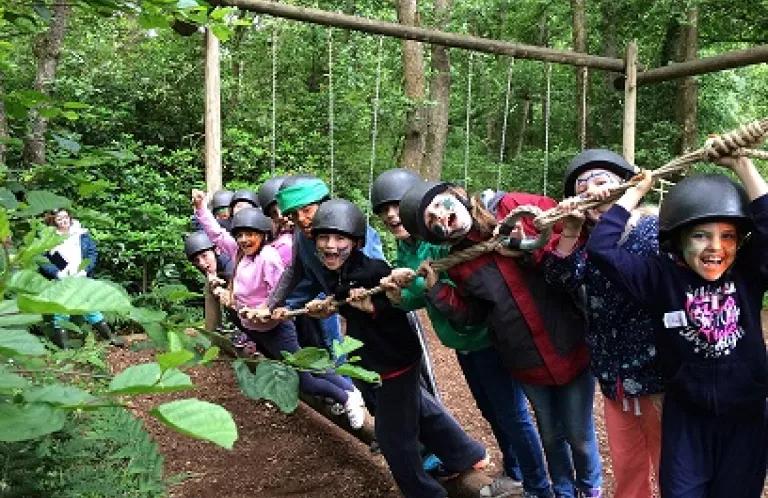 Go Wild SU Holiday Activity