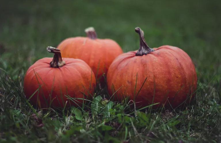 Pumpkins