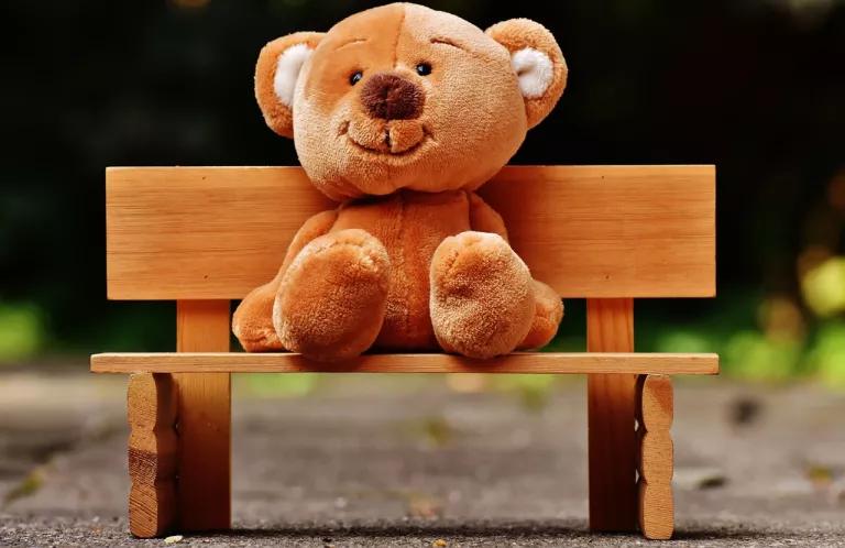 teddy