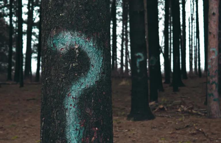 question_mark_tree