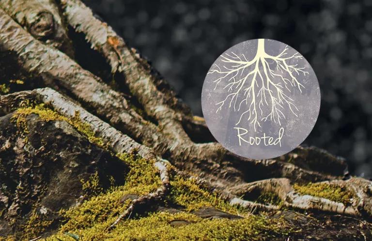 Rooted