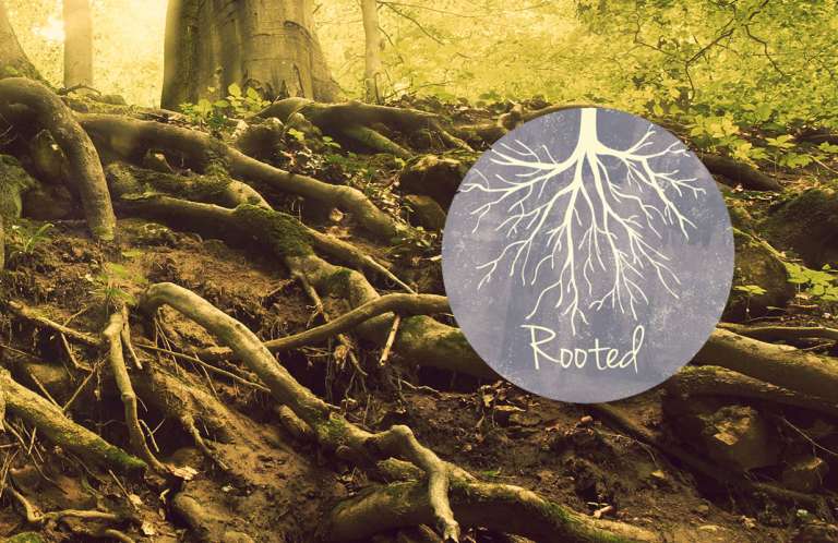 Rooted: a new model for youth work to help young people thrive