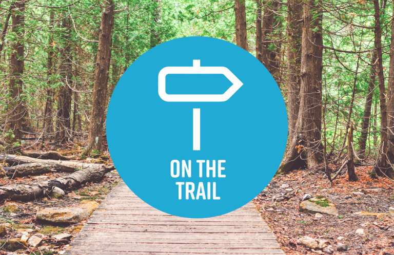 On the Trail