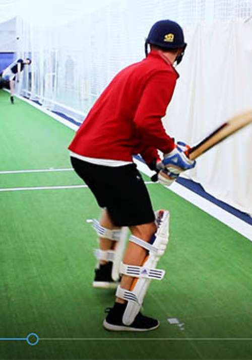 Sticks for Stumps Paddy