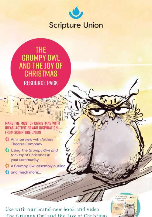 The Grumpy Owl and the Joy of Christmas resource pack