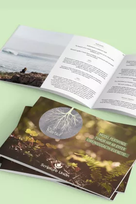 Rooted Leaders Guide Welsh Cover