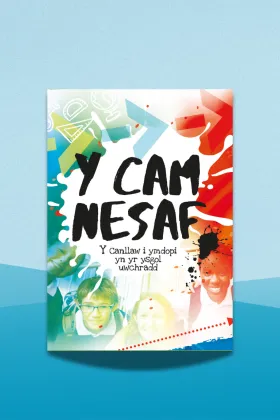 Y Cam Nesaf