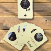 Rooted Hub Cards Cover