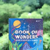Book of Wonders Cover