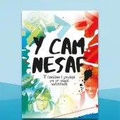 Y Cam Nesaf