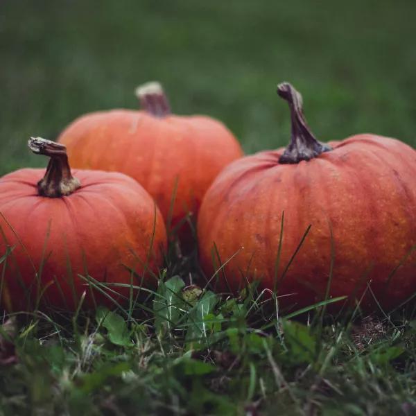 Pumpkins