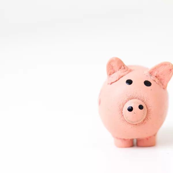 piggy bank 