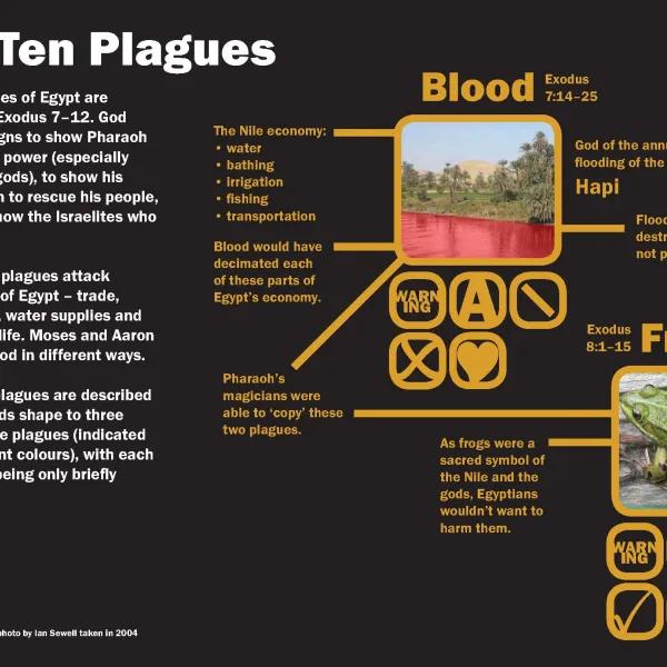 Plagues infographic
