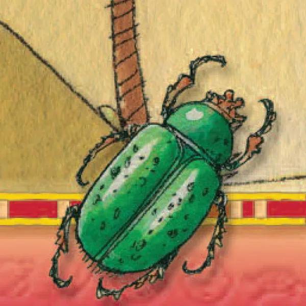pyramid-rock-scarab-tree-graphic