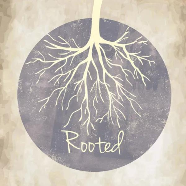 Rooted