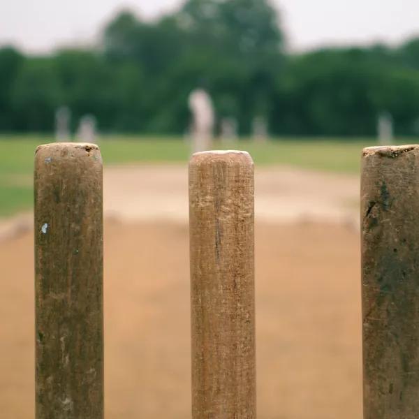 cricket_stumps_on_grass