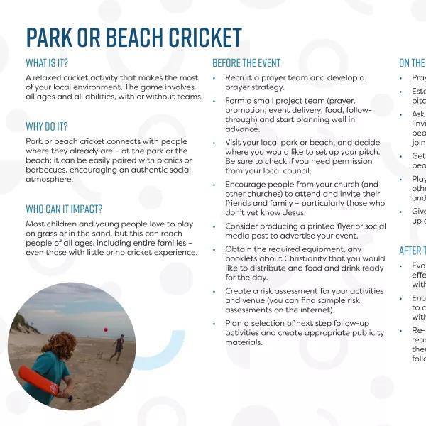 Park or beach cricket