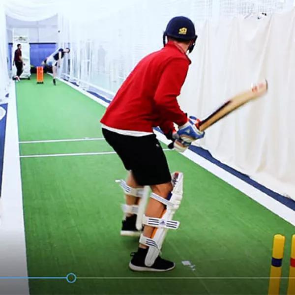 Sticks for Stumps Paddy